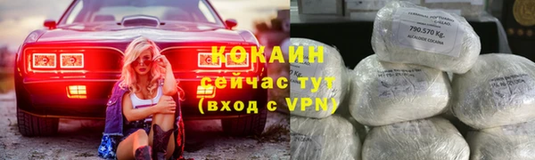 соль ск Бердск