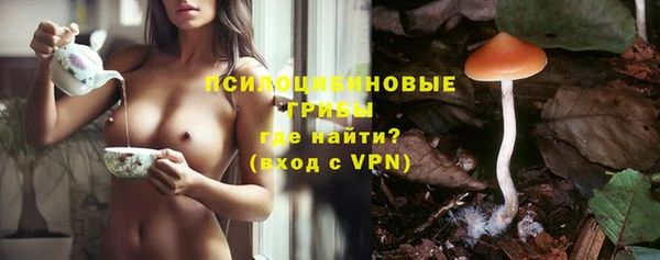 гидра Покров