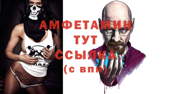 мет Пересвет
