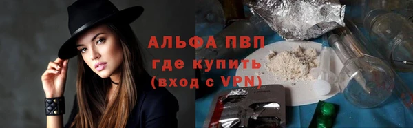гидра Покачи