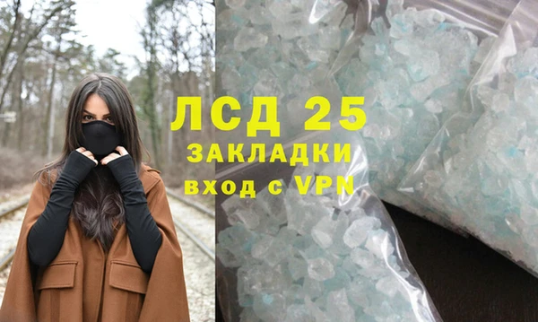 гидра Покачи