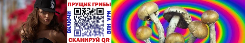 Галлюциногенные грибы прущие грибы  Белёв 